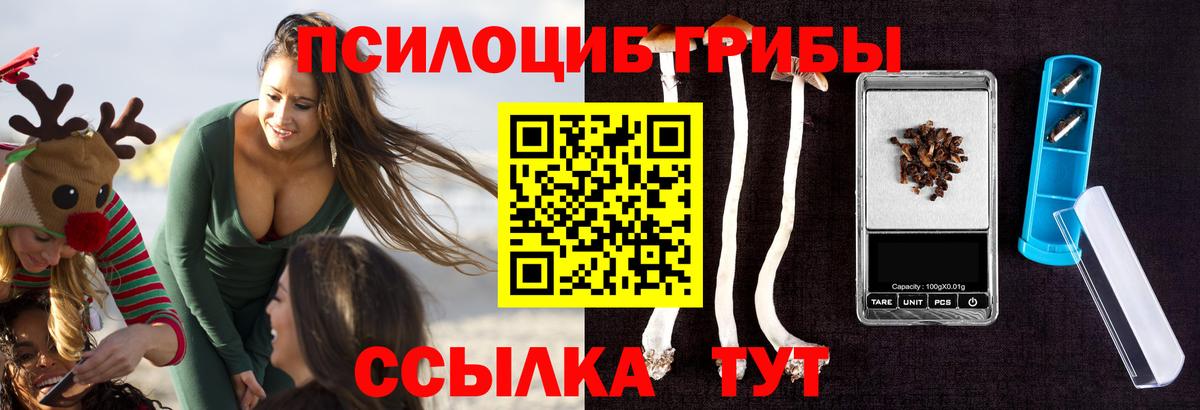 Галлюциногенные грибы ЛСД  цена   Лениногорск  Вход с VPN 